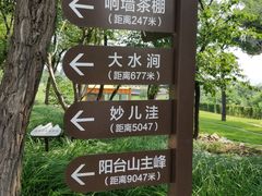 -阳台山自然风景区