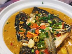-龙小海荆沙鸽子店(瑞安街店)