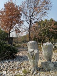 -玄武湖景区-情侣园游乐场