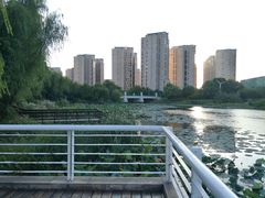 -新江湾城公园