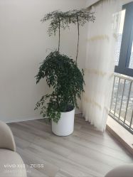 -HEYAN荷妍专业脱毛连锁机构