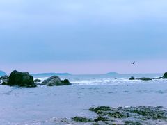 -西涌国际滨海旅游区