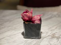 -杭州君悦酒店