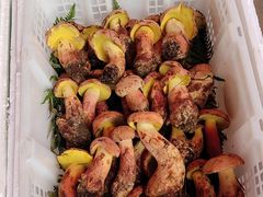 黄牛肝菌-云南木水花野生菌交易中心