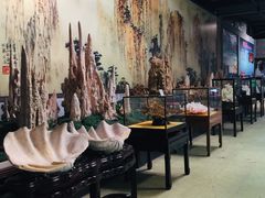 -游龙石文化科普馆