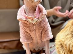 -MOCHA明星猫咖(田子坊店)