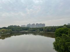 -东莞植物园
