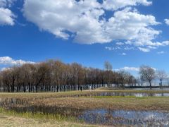 -洱海月湿地公园