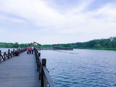 -溱湖国家湿地公园