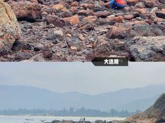 -西涌国际滨海旅游区