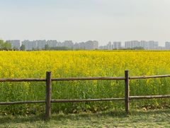 -汉长安城未央宫国家考古遗址公园