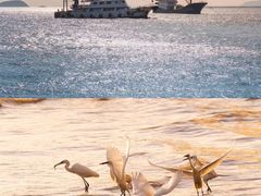 -漩门湾国家湿地公园