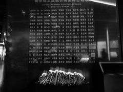 -侵华日军南京大屠杀遇难同胞纪念馆