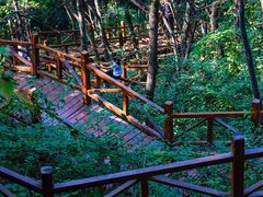 -大岭沟猕猴桃谷风景区