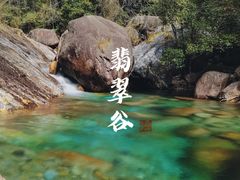 -合肥滨湖国家森林公园