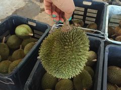-宝盛园民宿