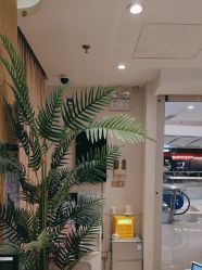 -丝域养发馆