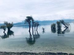 -大理洱海