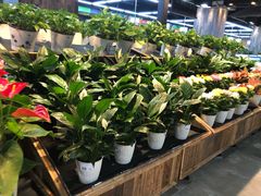 -果蔬好生活超市(乐堤港店)