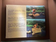 -海南槟榔谷黎苗文化旅游区