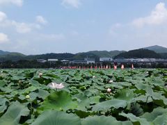 -古田会议纪念馆