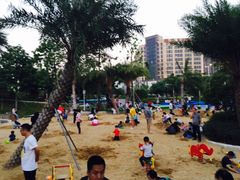 -宝安西湾红树林湿地公园