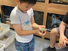 -酷以爬仙阁实体爬宠店·守宫·蜥蜴·专业繁育