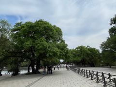 -北陵公园