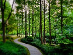 -苏州河梦清园环保主题公园