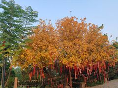 -南翠屏公园