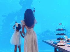 -海棠湾洲际-涛·海底餐厅·美人鱼·自助餐·海底隧道