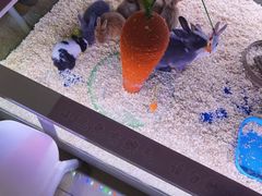 -大玩家(拱墅万达店)