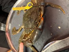 -Ministry of Crab•MOC(交子大道店)