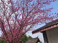 -中国天府农业博览园