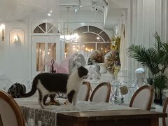 大堂-共舞时光猫咖·狗咖(新街口店)
