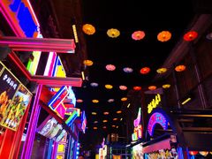 -鸿恩陶然大观园