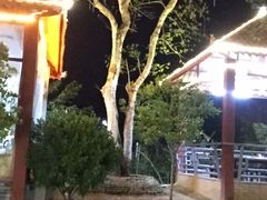 -大地土窑菜馆·特色罗浮农家菜(罗浮山景区店)
