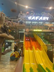 -卡通尼·Safari非洲探索乐园·生日会(金桥国际商业广场店)