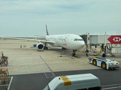 -上海浦东国际机场-T2航站楼