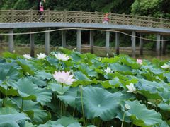 -金山公园