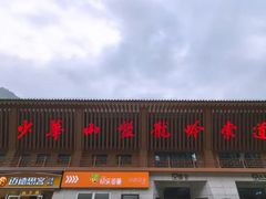 -少华山国家森林公园