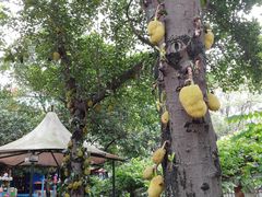 -东风公园