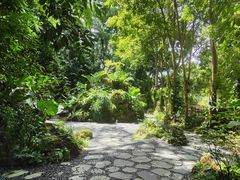 -深圳仙湖植物园