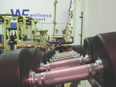 -健身专家Wellness Experts