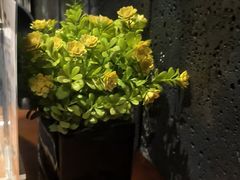 -上足·影院足道·SPA(红岭店)