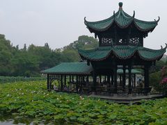 -桂湖森林公园