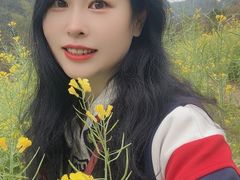 -靖西鹅泉风景区