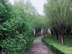 -洨河生态公园