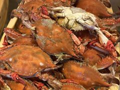 -富力希尔顿酒店·地阔自助餐厅