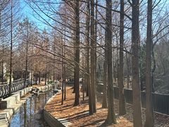 -白水寺森林公园